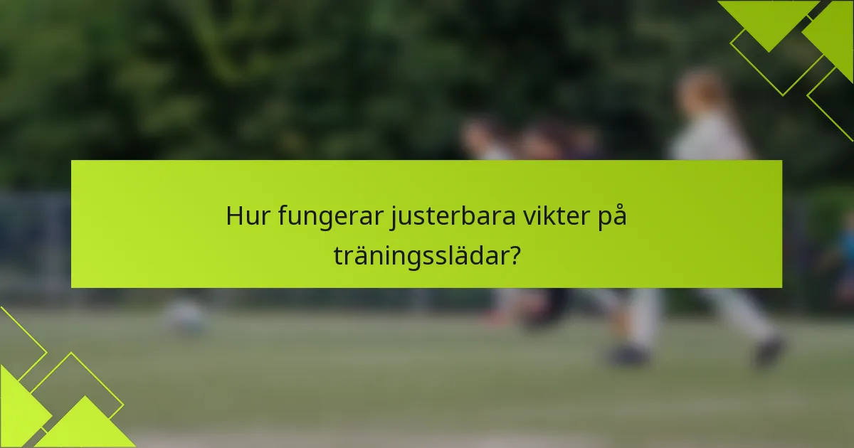 Hur fungerar justerbara vikter på träningsslädar?